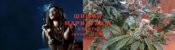 бошки Краснослободск