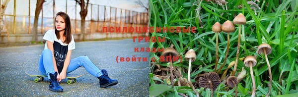винт Корсаков