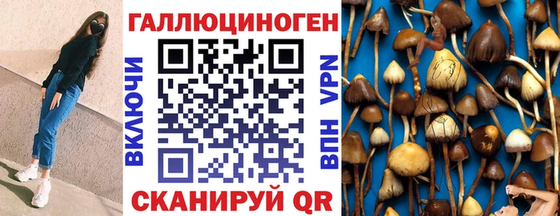 Псилоцибиновые грибы прущие грибы  купить закладку  гидра как войти  Покров 